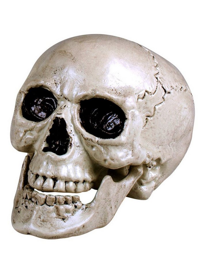 Boland Dekofigur Schädel mit beweglichem Kiefer - Halloween deko, Raumdekoration für Haunted House und Halloweenparty Boland Dekofigur Schädel mit beweglichem Kiefer - Halloween deko, Raumdekoration für Haunted House und Halloweenparty von Boland
