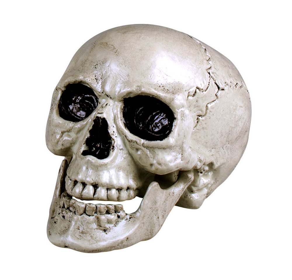 Boland Dekoobjekt Totenkopf Schädel 'Maxilla' beweglich - 17 x 17 x Boland Dekoobjekt Totenkopf Schädel 'Maxilla' beweglich - 17 x 17 x von Boland