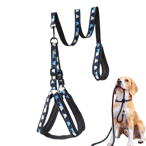 Bollisate Welpen Geschirr Und Leine Set,Reflektierende Spaziergangsleine Für Welpen - Verstellbar Bequem rutschfest Geschirr für Spaziergänge Outdoor Mittelgroße Hunde von Bollisate