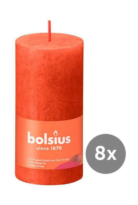 8er Pack Stumpenkerze 100/50 Rustik Shine herbstliches orange 35 von Bolsius
