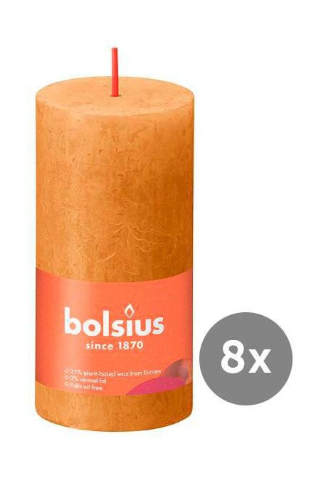 8er Pack Stumpenkerze 100/50 Rustik Shine honigwabengelb 19 von Bolsius