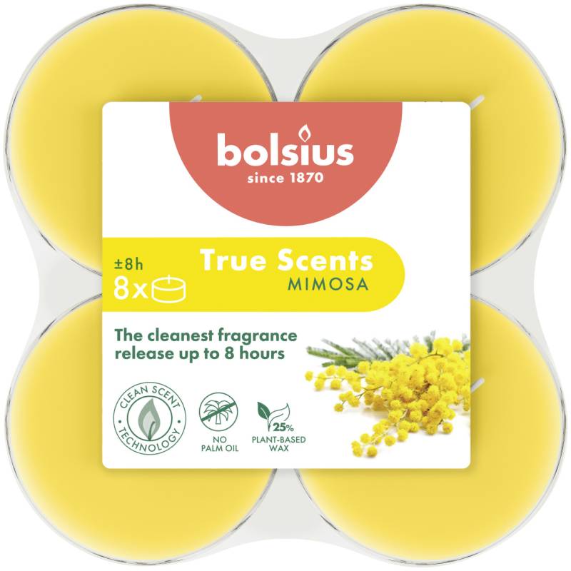 Bolsius Duft-Teelichte Maxi 8 Stunden 8er Pack True Scents Mimose von Bolsius
