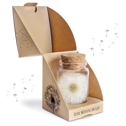 Bolson Wunscherfüller - echte Pusteblume im Glas mit Geschenkbox - Wunschblume für deine Wünsche - handgefertigt in Deutschland - perfekte Geschenkidee für Geburtstag, Hochzeit, Abschluss von Bolson