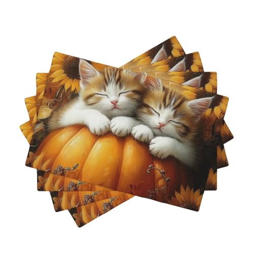 BoltPack Tischsets mit Katzen-Motiv, hitzebeständig, 30,5 x 45,7 cm, für Esszimmer, Zuhause, Urlaub, Party, Dekoration, 4 Stück von Boltpack