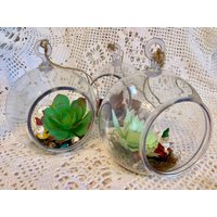 Gartenzwerg Upcycled Saftig Terrarium - Fee Garten Blumentopf Zwergen Blase Pflanzer Kaktus Pflanze Tischplatte Wanddeko von BombPopBoutique