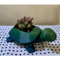 Indoor Garten Mini Schildkröte Übertopf Sukkulenten Topf - Meeresschildkröte Baby Pflanze 3D Bedruckt von BombPopBoutique