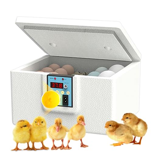 Bomefoi Kükenbrüter,Enten Wärmekasten | Berührungsgesteuertes Führungssystem Für Kleine Geflügelhaltung Bomefoi Kükenbrüter,Enten Wärmekasten | Berührungsgesteuertes Führungssystem Für Kleine Geflügelhaltung von Bomefoi