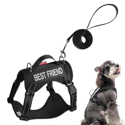 BommFu Katzengeschirr - Ausbruchsicheres Weiches Verstellbares Westen Geschirr - Weiches Leichtes Trainingshalsband Mit Verstellbarer Anti-Flucht-Funktion Für Spaziergänge, Outdoor-Aktivitäten Und von BommFu