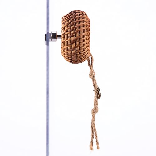 BommFu Springspinnen Terrarium Zubehör | Rattan Versteckhabitat Für Geckos | Kleines Magnet Terrarium Habitat Für Baumbewohnende Tiere Gottesanbeterinnen Invertebraten von BommFu