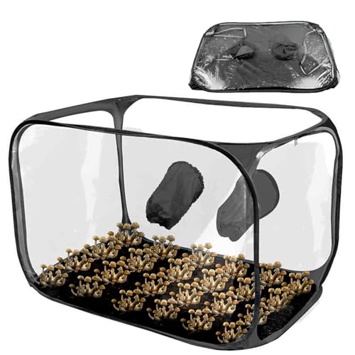 Pilzzucht-Set | Pilzzuchtzelt | Faltbare Pilzzuchtstall-Luftbox | Große Pilz-Mykologie-Abzugshaube | Pop-Up-Pilzzuchtbehälter - Tragbarer Pilzzuchtbehälter Für Sporen, Mykologie, Gartenbaubedarf von BommFu