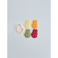 Hase Mit Karotte-Ausstechform | Frühling Tier Cookie Cutter Stempel Set Kaninchen-Fondant-Formen Lebensmittelecht 3D Gedruckt Hase Mit Karotte-Ausstechform | Frühling Tier Cookie Cutter Stempel Set Kaninchen-Fondant-Formen Lebensmittelecht 3D Gedruckt von BonBunnyBake