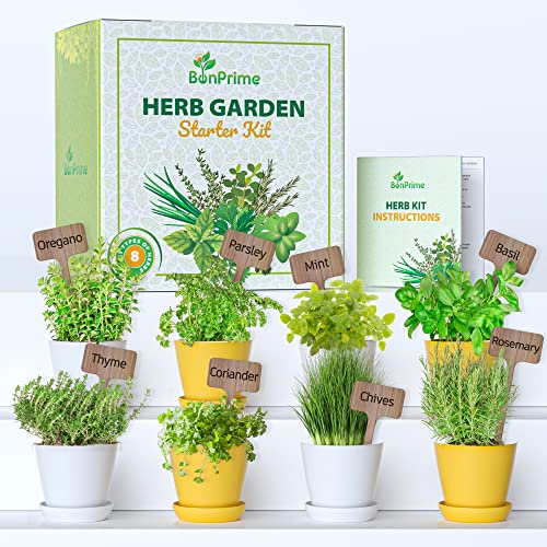 BonPrime Anzuchtset Kräuter 8 Kräutersamen EINFACHE KEIMUNG - Küchenkräuter Set mit 8 Ökologische Kräutertopf - Kräutergarten Geschenk, Geschenke für Gartenliebhaber, Kräuterzucht, Graskopf von BonPrime