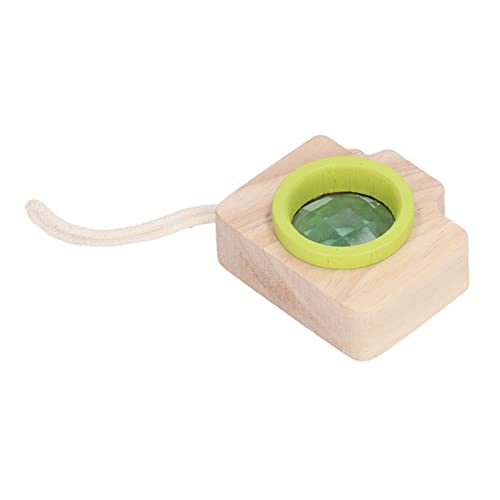 Bonbela Bee Eye Effect Toy Prismen Objektiv Spielzeug Biene Vision Kamera Stil Bildungswissenschaft Spielzeug mit Prismenlinse für Im Freien Im Freien (Grün) von Bonbela