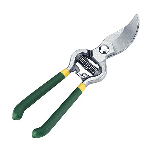Bonbela Bonsai -Schnittschere 1pc Rost von Bonbela