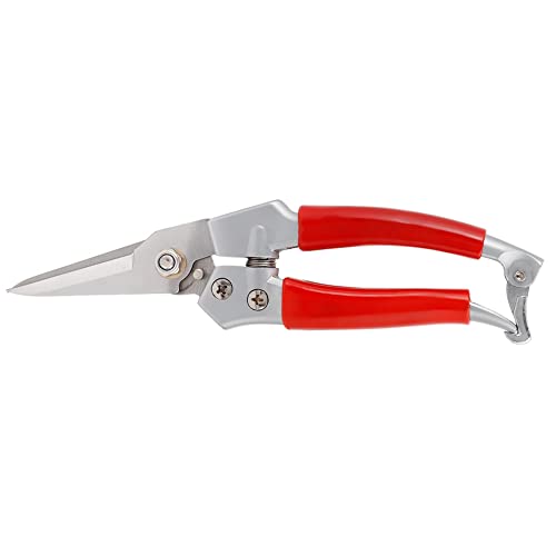 Bonbela Gärtnerhandschere Gartenpflanze Schere Roter Griff Gerade Schnellschere Hand Pruner (Malvorgang) von Bonbela