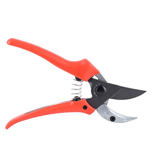 Bonbela Gartenschere Gartenschneider Beschneiden Schere Obstbaum Trimmer Hand Pruner Trimming Scissors Gartenzubehör Bonbela Gartenschere Gartenschneider Beschneiden Schere Obstbaum Trimmer Hand Pruner Trimming Scissors Gartenzubehör von Bonbela