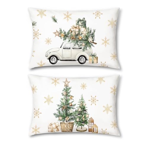 Bonhause 2er Set Kissenbezüge Weihnachten Winter Weihnachtsbaum Geschenkpackung LKW Schneeflocken 30 x 50 cm Dekorative Kissenhülle für Sofa Schlafzimmer Feiertag Dekoration von Bonhause