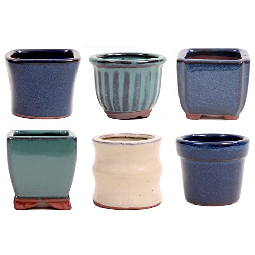 6er-Set Bonsai - Schale, Kaskadenschale 7-8 x 6,5-7 cm 6er-Set Bonsai - Schale, Kaskadenschale 7-8 x 6,5-7 cm von Bonsai-Shopping