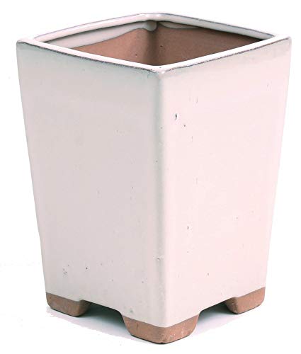 Bonsai - Kaskadenschale 10,5 x 10,5 x 14,5 cm, cremefarben 50008 Bonsai - Kaskadenschale 10,5 x 10,5 x 14,5 cm, cremefarben 50008 von Bonsai-Shopping