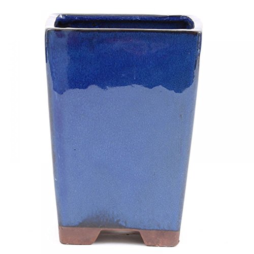 Bonsai - Kaskadenschale 14 x 14 x 19 cm, blau 50045 Bonsai - Kaskadenschale 14 x 14 x 19 cm, blau 50045 von Bonsai-Shopping