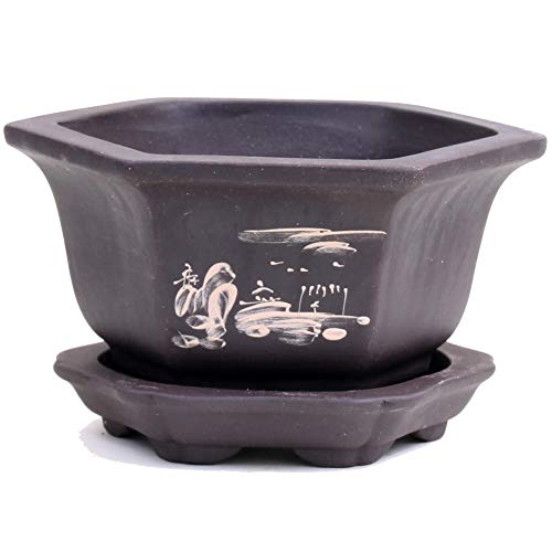 Bonsai - Kaskadenschale 16 Ø x 8,5 cm, mit Motiven 50060 Bonsai - Kaskadenschale 16 Ø x 8,5 cm, mit Motiven 50060 von Bonsai-Shopping