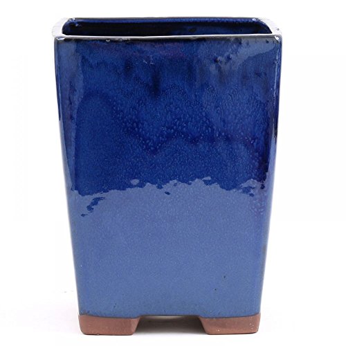 Bonsai - Kaskadenschale 18 x 18 x 23 cm, blau 50048 Bonsai - Kaskadenschale 18 x 18 x 23 cm, blau 50048 von Bonsai-Shopping