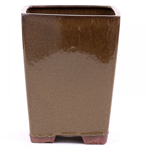 Bonsai - Kaskadenschale 18 x 18 x 23 cm, kupferfarben 50046 Bonsai - Kaskadenschale 18 x 18 x 23 cm, kupferfarben 50046 von Bonsai-Shopping