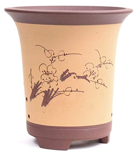 Bonsai - Kaskadenschale 20,5 x 19,5 Ø cm, beige-braun, mit Motiv, 50901 von Bonsai-Shopping