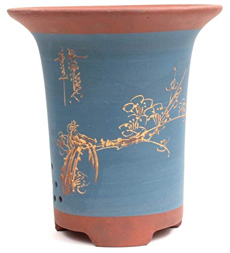 Bonsai - Kaskadenschale 23,5 x 22 Ø cm, blau-braun, mit Motiv, 50926 von Bonsai-Shopping