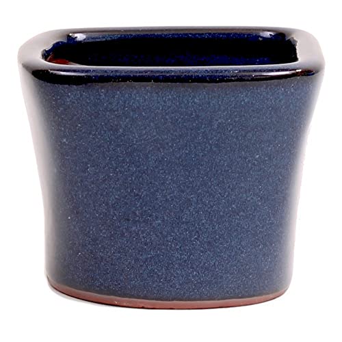 Bonsai - Schale, Kaskadenschale quadratisch 8 x 8 x 6,5 cm, blau 50983 von Bonsai-Shopping