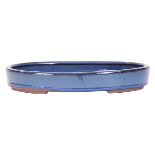Bonsai - Schale, Waldschale, oval 25 x 18 x 4 cm blau 51008 von Bonsai-Shopping