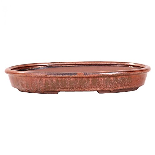 Bonsai - Schale, Waldschale, oval 31 x 20,5 x 4,5 cm kupferfarben 51003 von Bonsai-Shopping