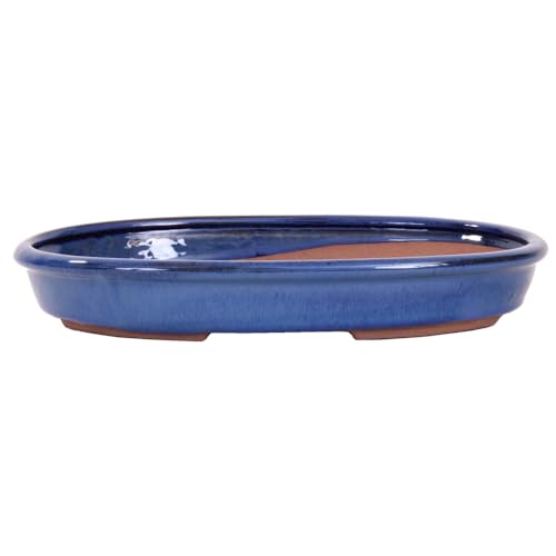 Bonsai - Schale, Waldschale, oval 31 x 20.5 x 4.5 cm blau 51002 von Bonsai-Shopping