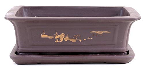 Bonsai - Schale + Untersetzer mit Motiv, 35 x 25 x 11 cm eckig 41075 Bonsai - Schale + Untersetzer mit Motiv, 35 x 25 x 11 cm eckig 41075 von Bonsai-Shopping