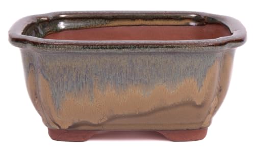 Bonsai - Schale eckig 16 x 12.5 x 7.5 cm, beige/grünblau 22137 Bonsai - Schale eckig 16 x 12.5 x 7.5 cm, beige/grünblau 22137 von Bonsai-Shopping