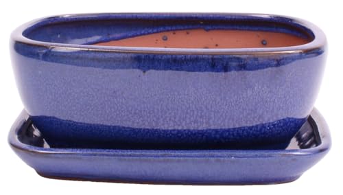 Bonsai - Schale eckig 21.5 x 16.5 x 8.5 cm, blau, mit Untersetzer 23194 von Bonsai-Shopping