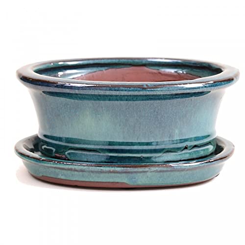 Bonsai - Schale oval, 15,5 x 12 x 6,5 cm, blau-grün, mit Untersetzer 23993 von Bonsai-Shopping