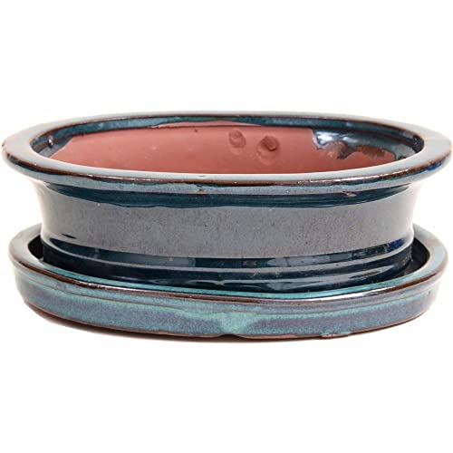 Bonsai - Schale oval, 21 x 17 x 7 cm, blaugrün, mit Untersetzer 23994 von Bonsai-Shopping