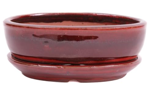 Bonsai - Schale oval 16 x 12 x 4.8 cm, braun/rot, mit Untersetzer 23186 von Bonsai-Shopping