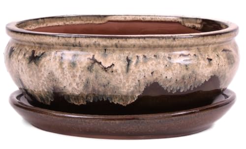 Bonsai-Shopping Bonsai - Schale oval 21 x 16.5 x 8 cm, beige/braun, mit Untersetzer 23204 von Bonsai-Shopping