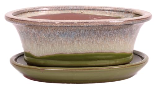 Bonsai - Schale oval 21 x 17 x 8.5 cm, grün/beige, mit Untersetzer 23205 von Bonsai-Shopping