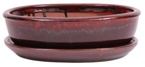 Bonsai - Schale oval 26.5 x 20 x 7.5 cm, rot/braun, mit Untersetzer 31139 von Bonsai-Shopping