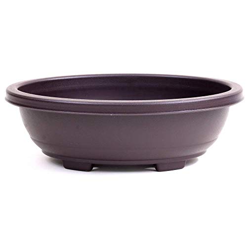 Bonsai - Schale oval 30 x 24 x 9,5 cm Kunststoff 30366 von Bonsai-Shopping