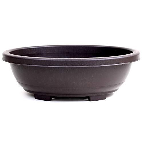 Bonsai - Schale oval 36 x 29,5 x 11,5 cm Kunststoff 40337 von Bonsai-Shopping