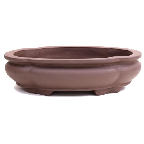 Bonsai - Schale oval 40 x 30 x 12 cm, unglasiert, braun, frostfest 40864 von Bonsai-Shopping