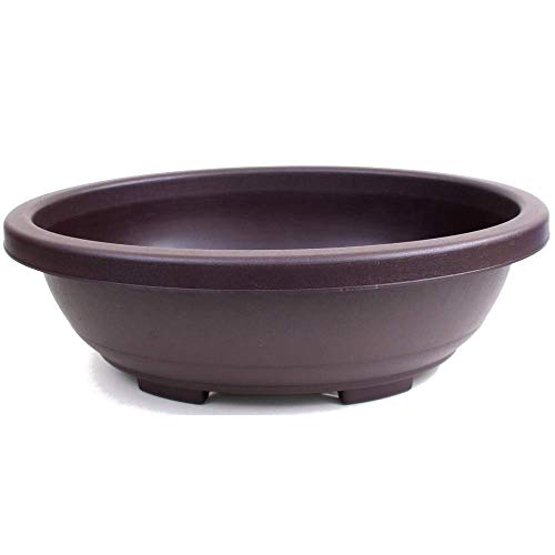 Bonsai - Schale oval 47 x 37 x 15 cm Kunststoff 40339 von Bonsai-Shopping