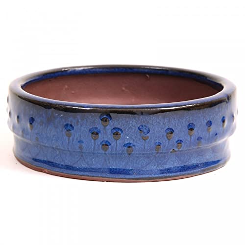 Bonsai-Shopping - Schale rund 15 Ø x 5 cm, blau, Trommelschale 15817 von Bonsai-Shopping