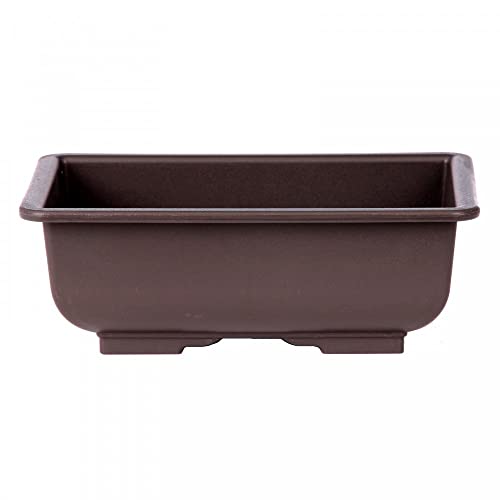 Bonsai-Shopping - Schale eckig 21,5 x 15,5 x 7,5 cm braun Kunststoff 22258 Bonsai-Shopping - Schale eckig 21,5 x 15,5 x 7,5 cm braun Kunststoff 22258 von Bonsai-Shopping