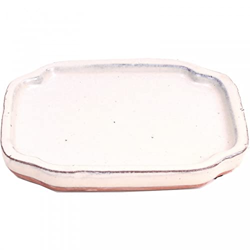 Bonsai - Untersetzer oval 16 x 12 cm, cremefarben 54955 von Bonsai-Shopping