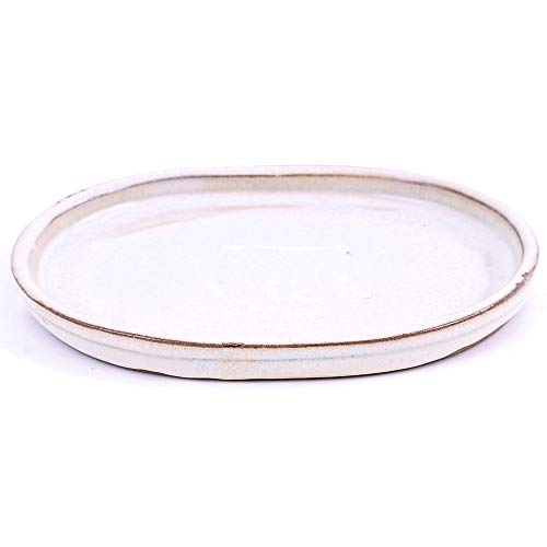 Bonsai - Untersetzer oval 17 x 13 cm, Creme 54341 von Bonsai-Shopping